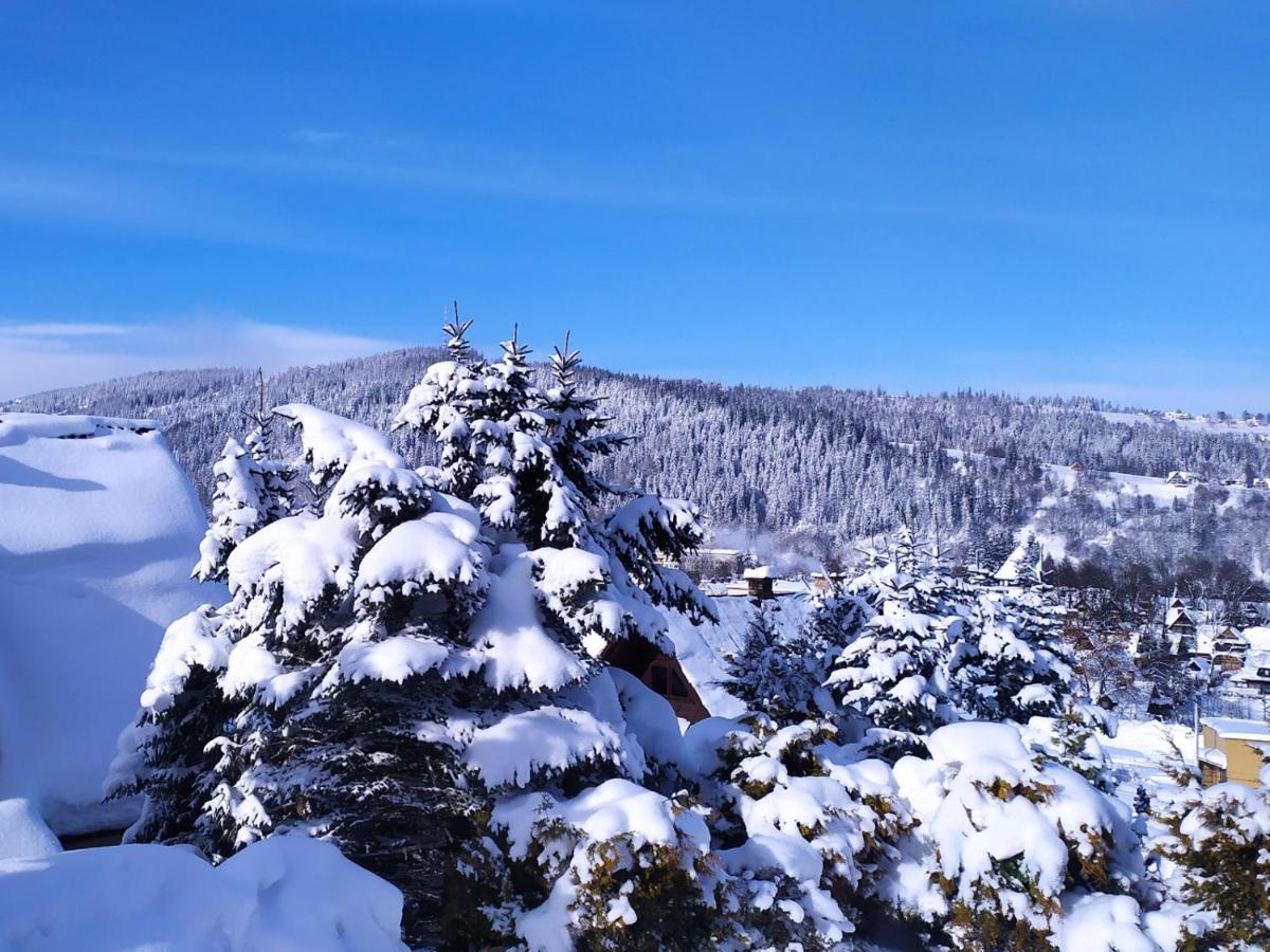 Apartament Nr 4 U Miska Z Dwoma Sypialniami Zakopane Bagian luar foto